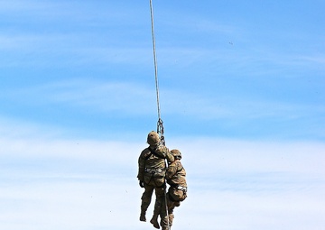 Scouts and allies in the sky