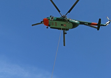 Scouts and allies in the sky