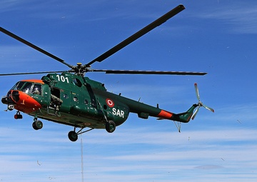 Scouts and allies in the sky