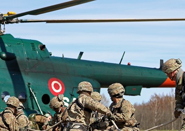 Scouts and allies in the sky