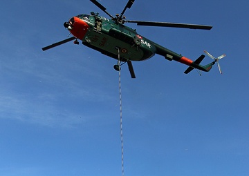 Scouts and allies in the sky