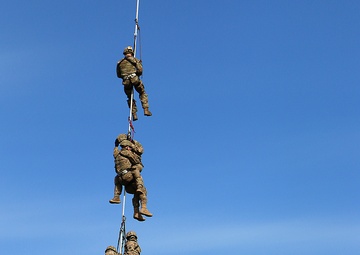 Scouts and allies in the sky