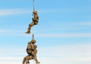 Scouts and allies in the sky