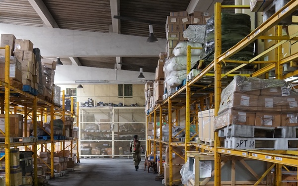 Customs and Border Protection trained Belgian Malinois are delivered to Tanzania