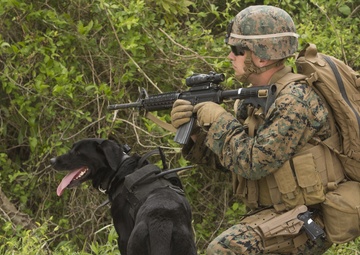 To take charge of this post; LEB heads up security during MEF CPX