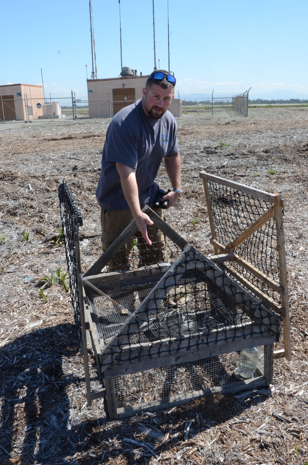 Clear skies for Los Alamitos Army Airfield: Bird-avoidance program ups safety for all aircraft