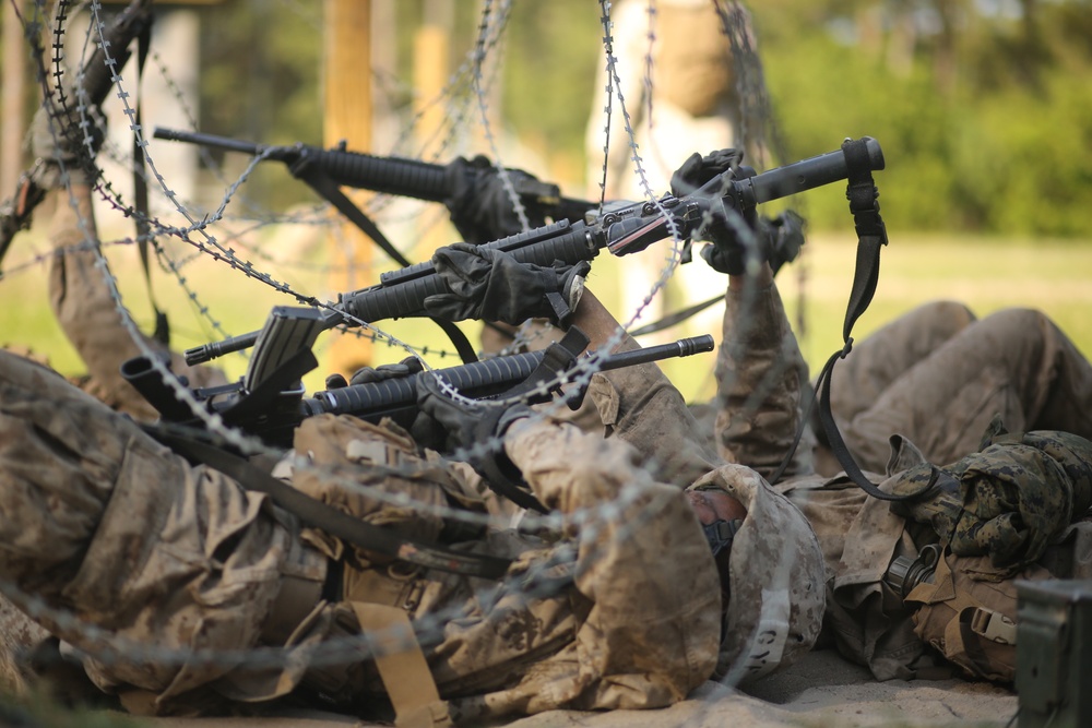 Oscar Company Day Movement