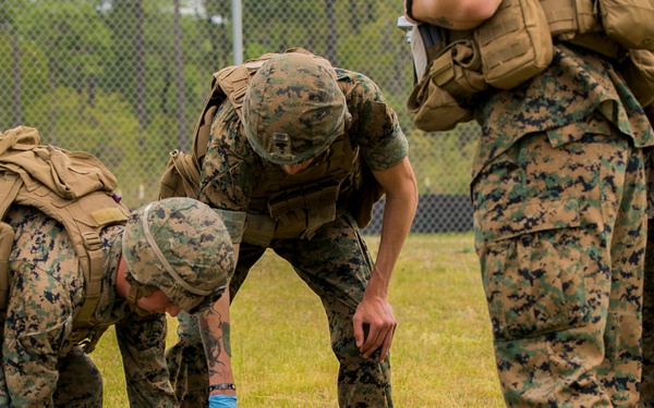 Combing the crime scene with 2nd LEB