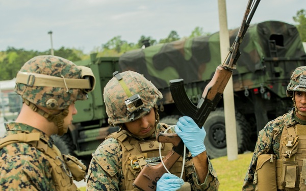 Combing the crime scene with 2nd LEB