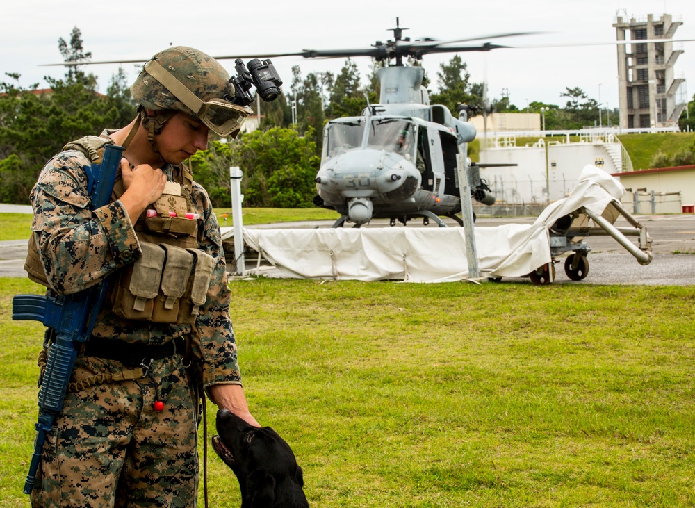 Military Working Dog, Handler, Ready To Fly