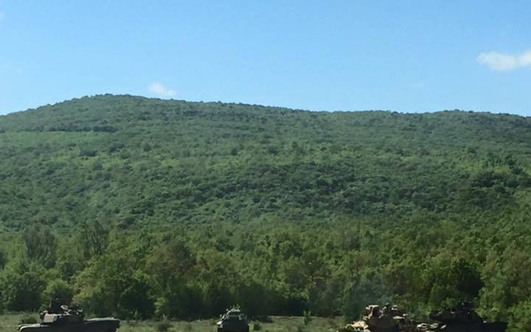 3ID, Bulgarian Soldiers train together for Exercise Strike Back