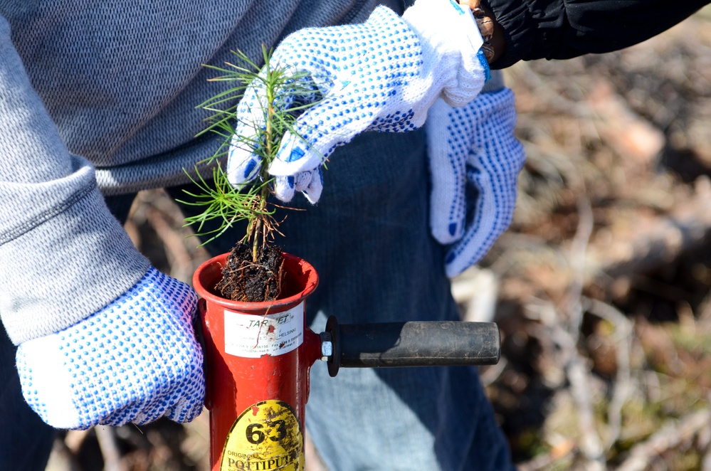 Eagle Troop participates in Kuusalu tree planting ceremony