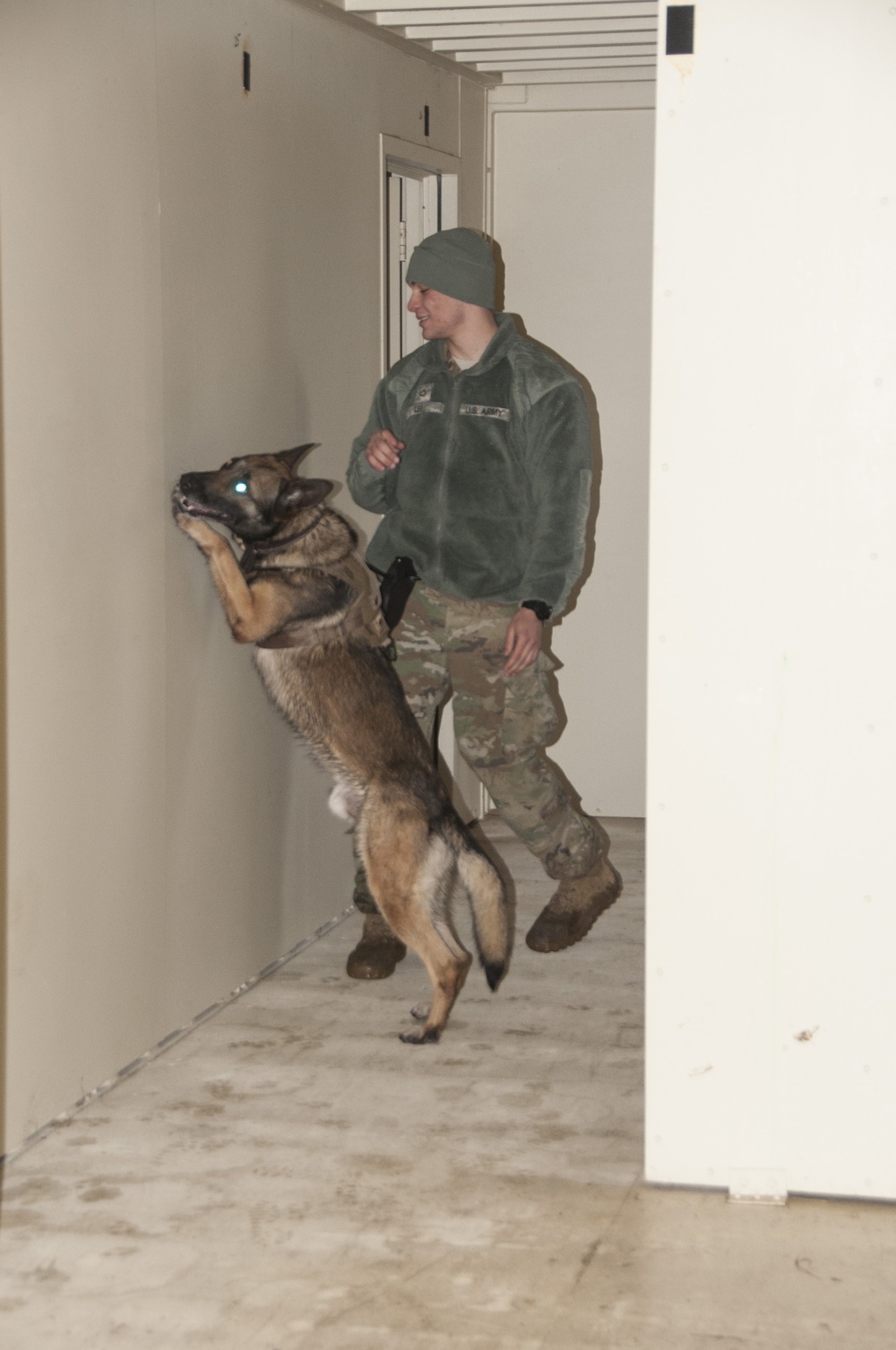 131st Military Working Dog Detachment K9 Training