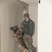 131st Military Working Dog Detachment K9 Training