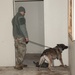 131st Military Working Dog Detachment K9 Training