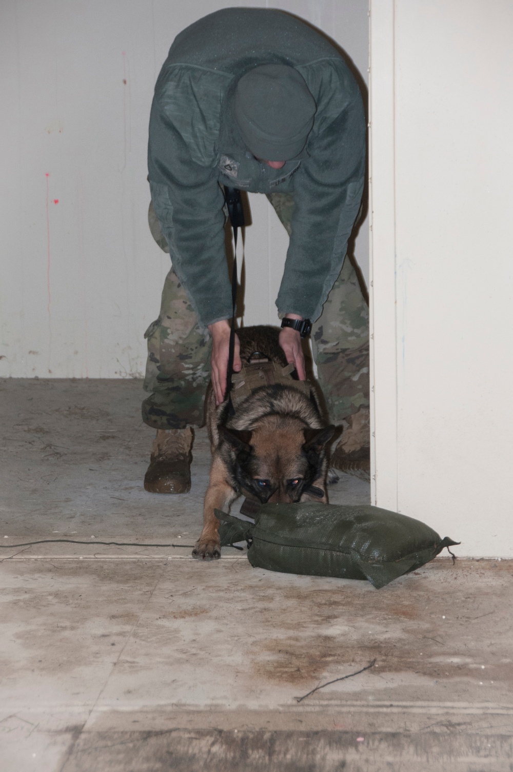 131st Military Working Dog Detachment K9 Training