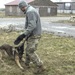 131st Military Working Dog Detachment K9 Training