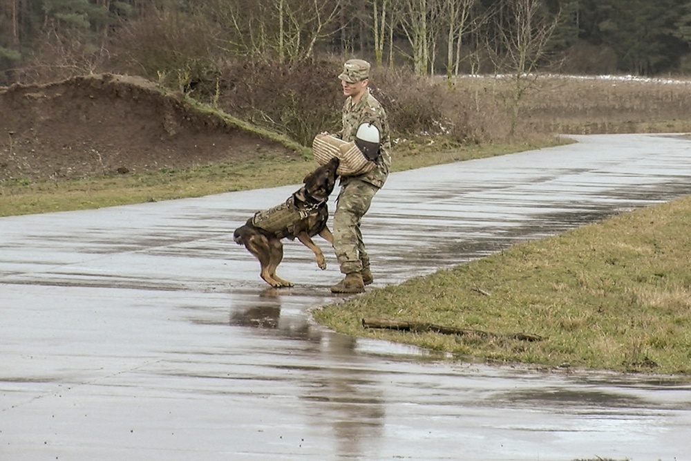 131st Military Working Dog Detachment K9 Training