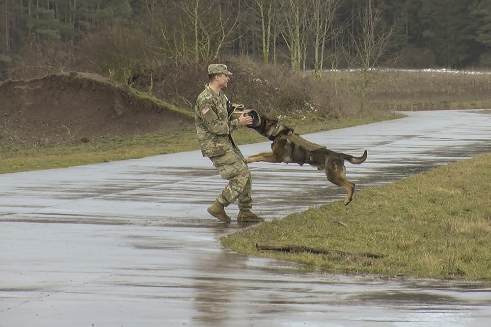 131st Military Working Dog Detachment K9 Training
