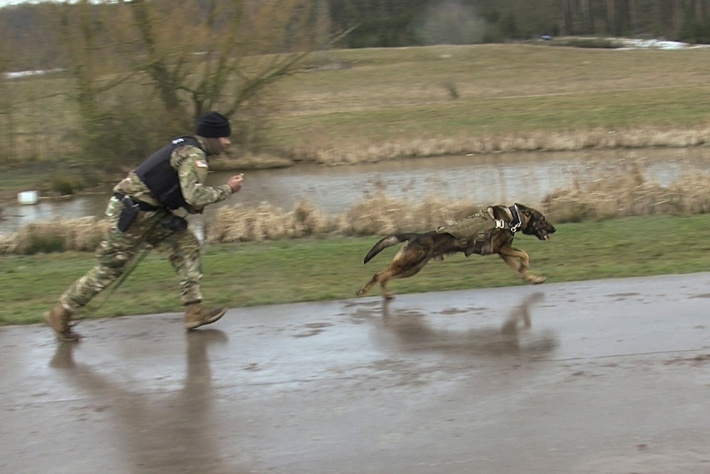 131st Military Working Dog Detachment K9 Training