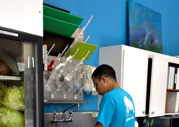 Puerto Rico Air National Guard visits the Puerto Rico Manatee Conservation Center