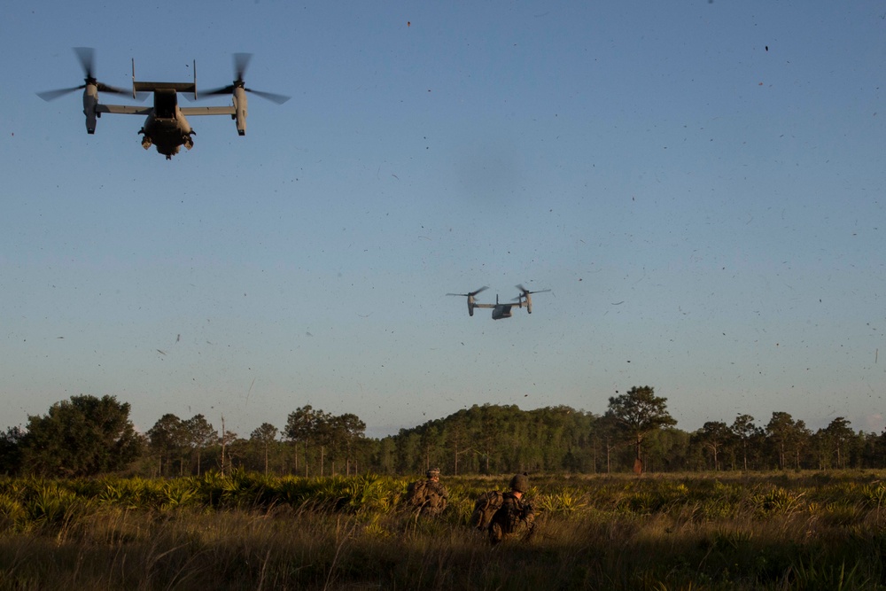 BLT 1/6 conducts TRAP Exercise