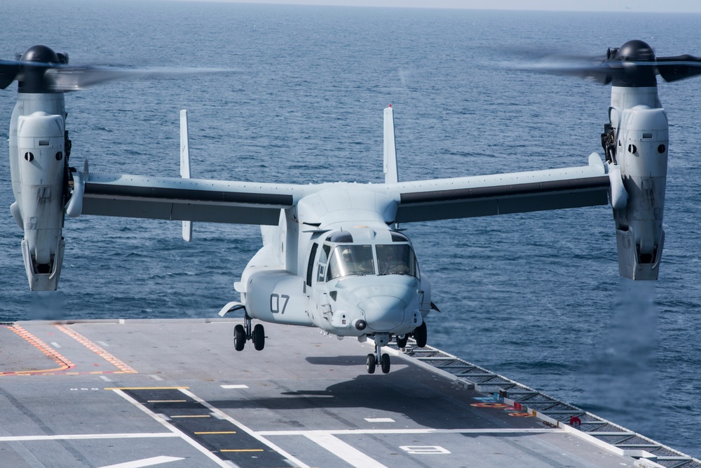 AMPHIBEX 16.1 Begins