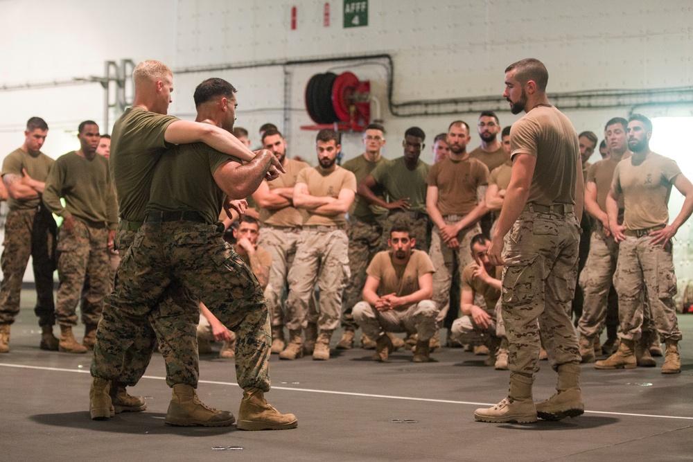 U.S. &amp; Spanish Marines conduct MCMAP during AMPHIBEX 16.1