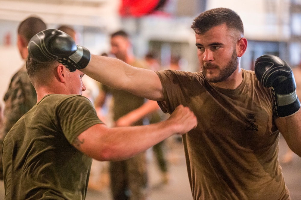 U.S. &amp; Spanish Marines conduct MCMAP during AMPHIBEX 16.1