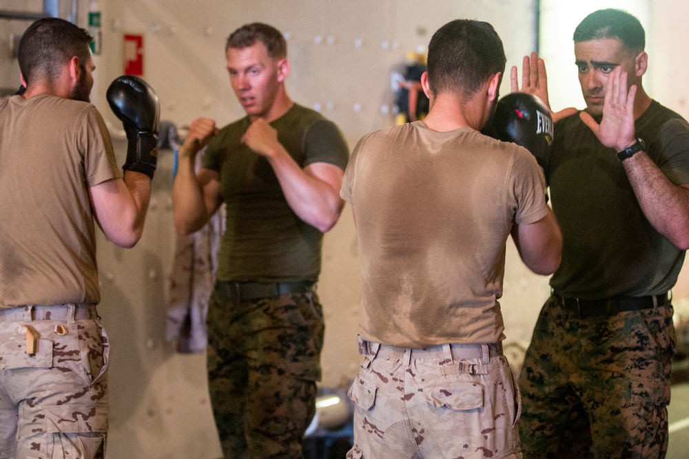 U.S. &amp; Spanish Marines conduct MCMAP during AMPHIBEX 16.1