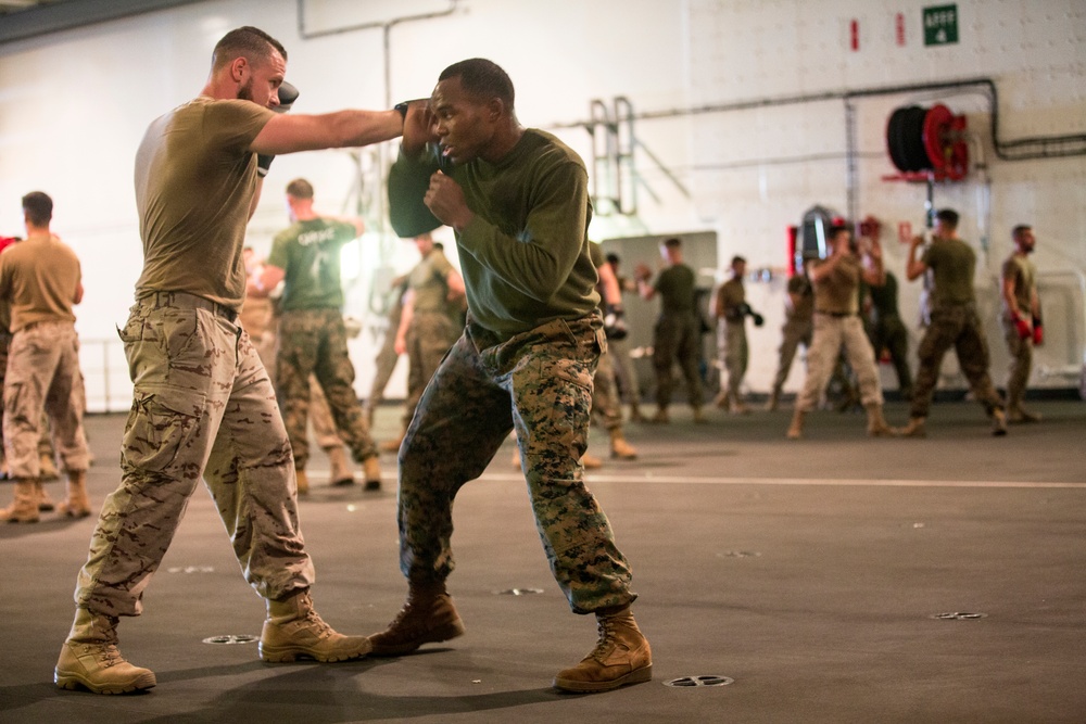 U.S. &amp; Spanish Marines conduct MCMAP during AMPHIBEX 16.1