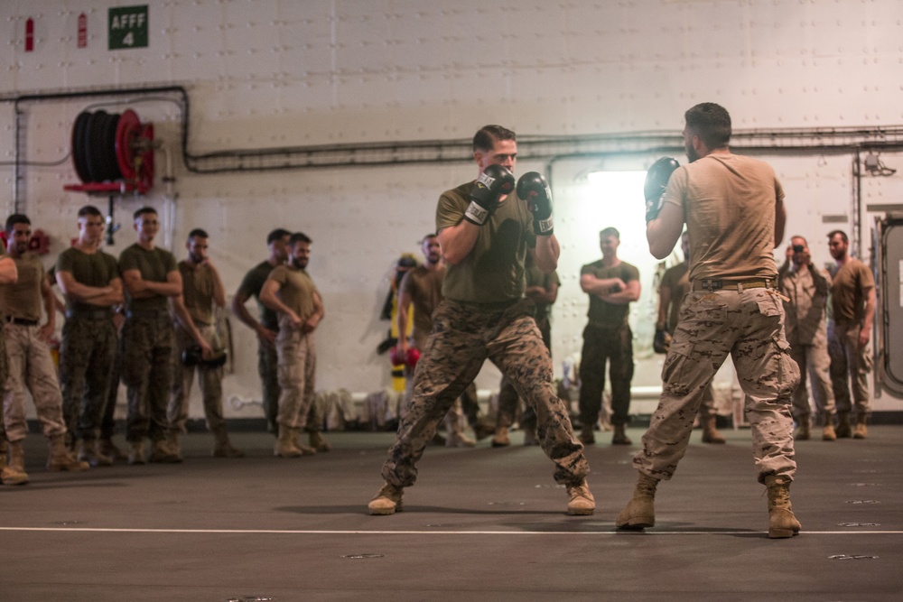 U.S. &amp; Spanish Marines conduct MCMAP during AMPHIBEX 16.1