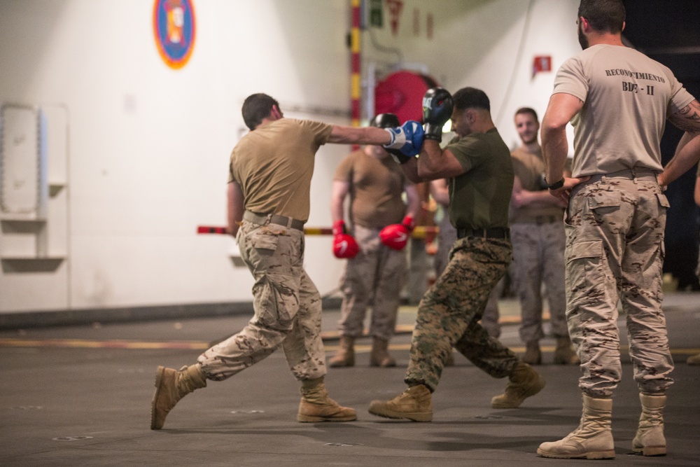 U.S. &amp; Spanish Marines conduct MCMAP during AMPHIBEX 16.1