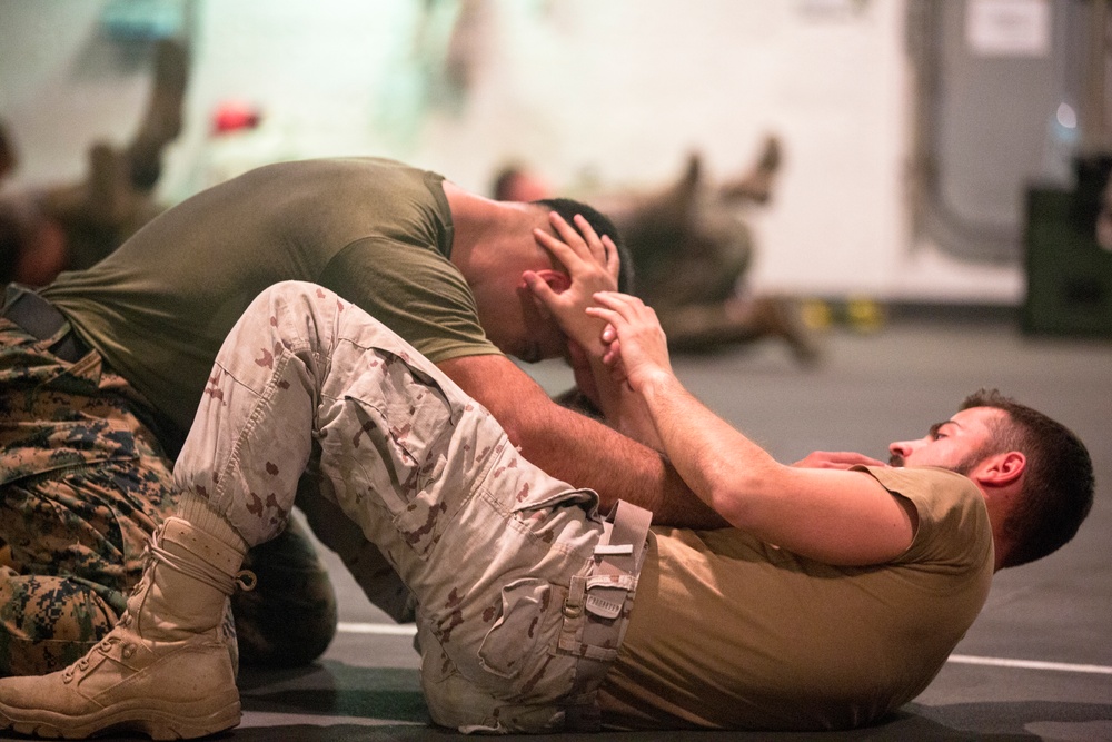 U.S. &amp; Spanish Marines conduct MCMAP during AMPHIBEX 16.1