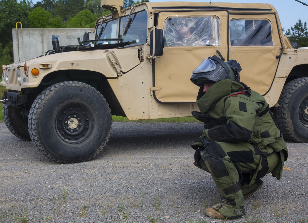 52nd and 111th Ordnance Group (EOD) Joint Team of the Year 2016