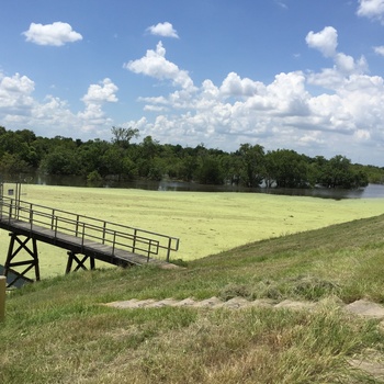 Addicks and Barker dams