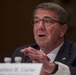 SD testifies at Senate Appropriations Subcommittee on Defense