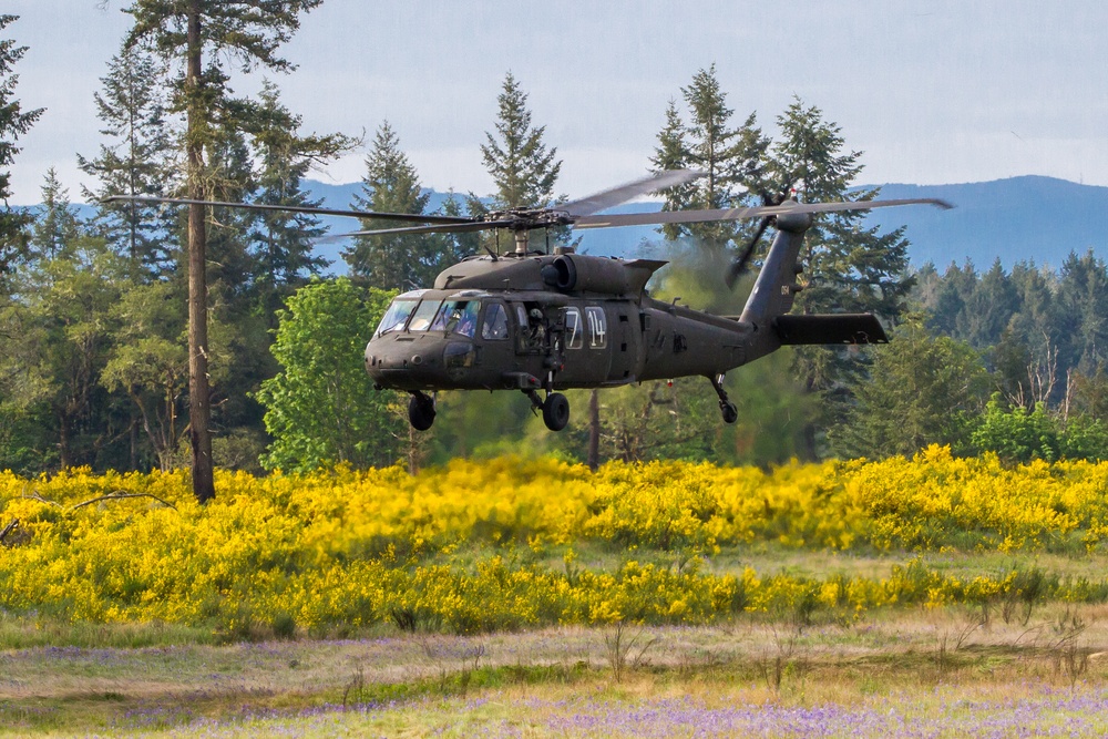 16th CAB, 2-2 SBCT conduct battalion-sized air assault training at JBLM