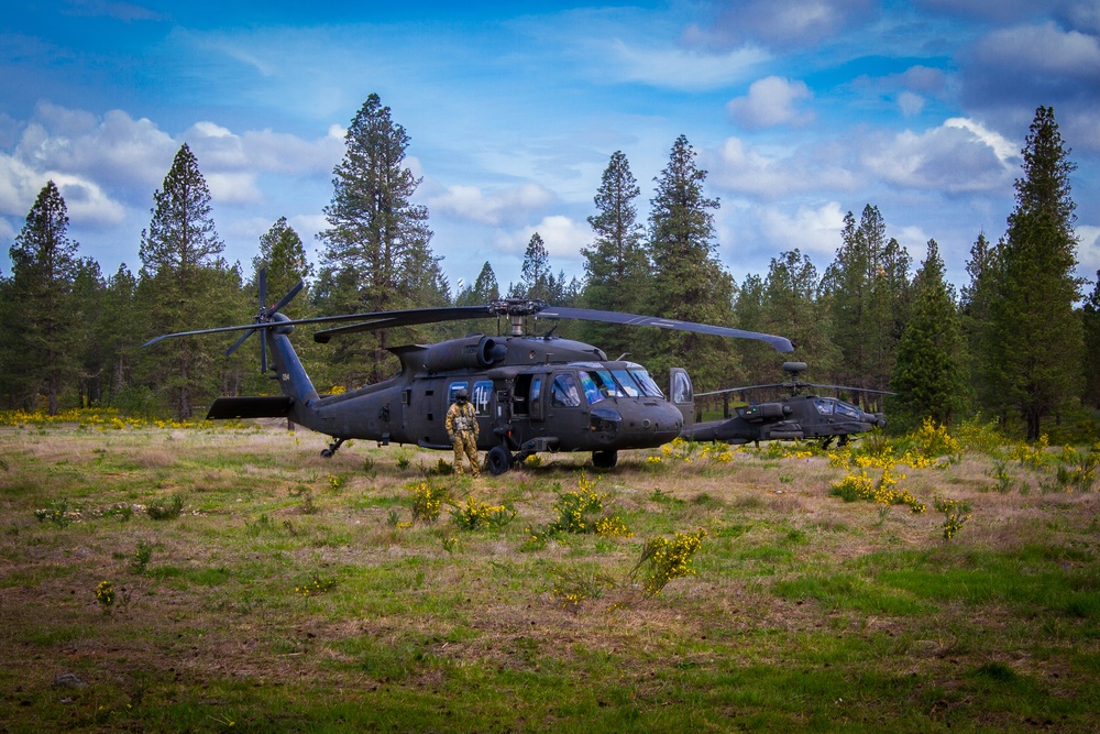 16th CAB, 2-2 SBCT conduct battalion-sized air assault training at JBLM