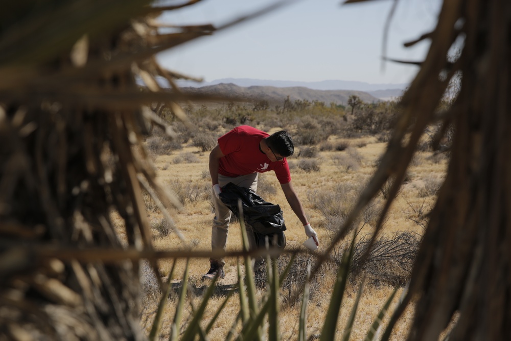 Restoring for the future, Marines help Mojave Desert Land Trust
