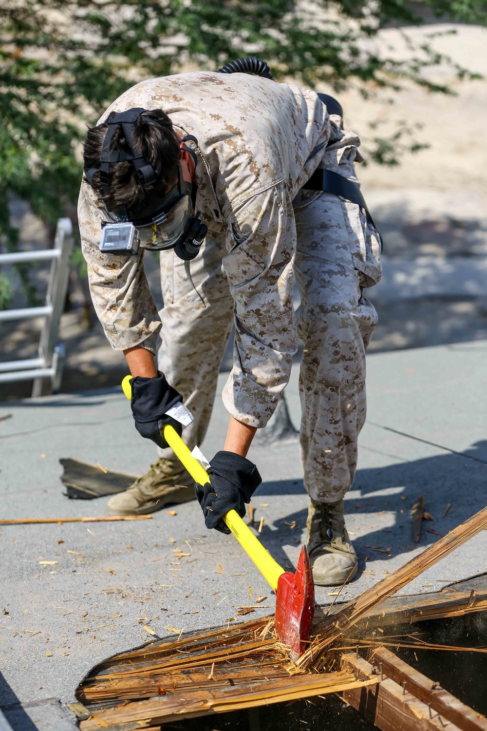 Assessment Consequence Management