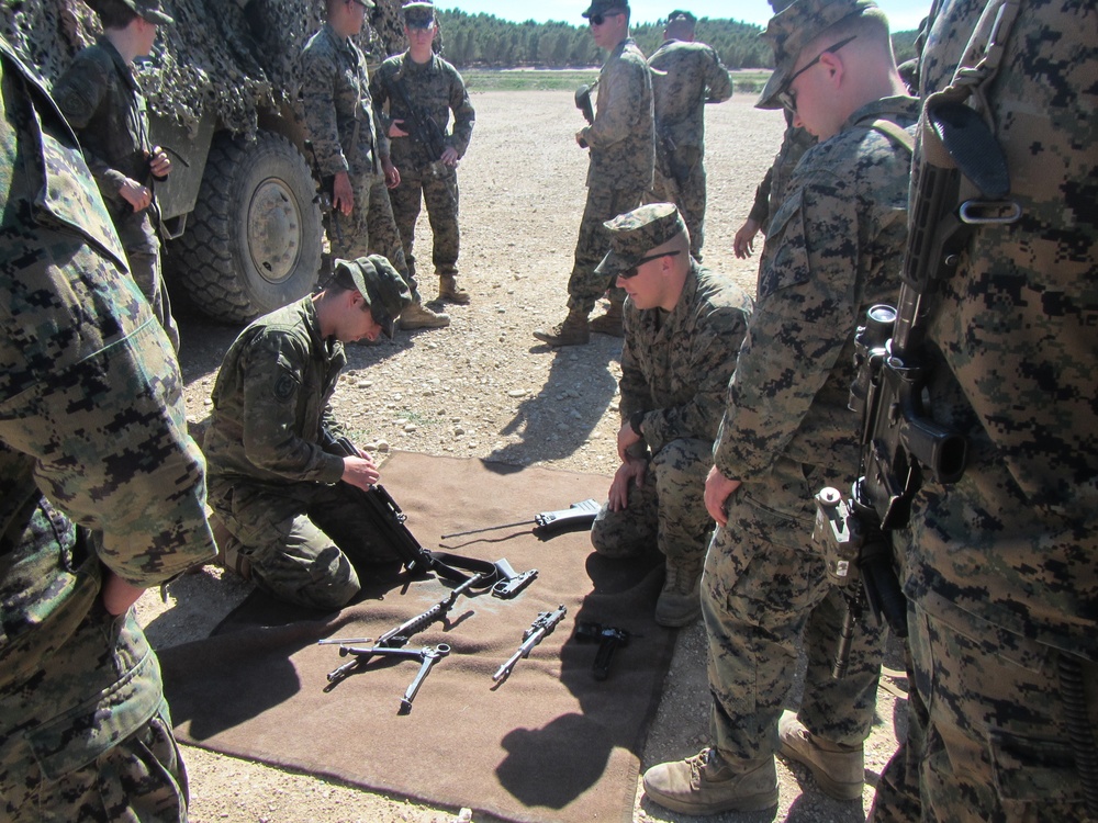 Crisis Response Marines and Spanish Army showcase equipment and techniques in bilateral training.