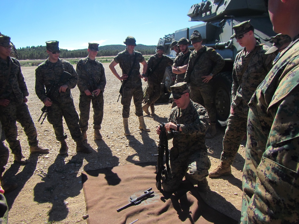 Crisis Response Marines and Spanish Army showcase equipment and techniques in bilateral training.