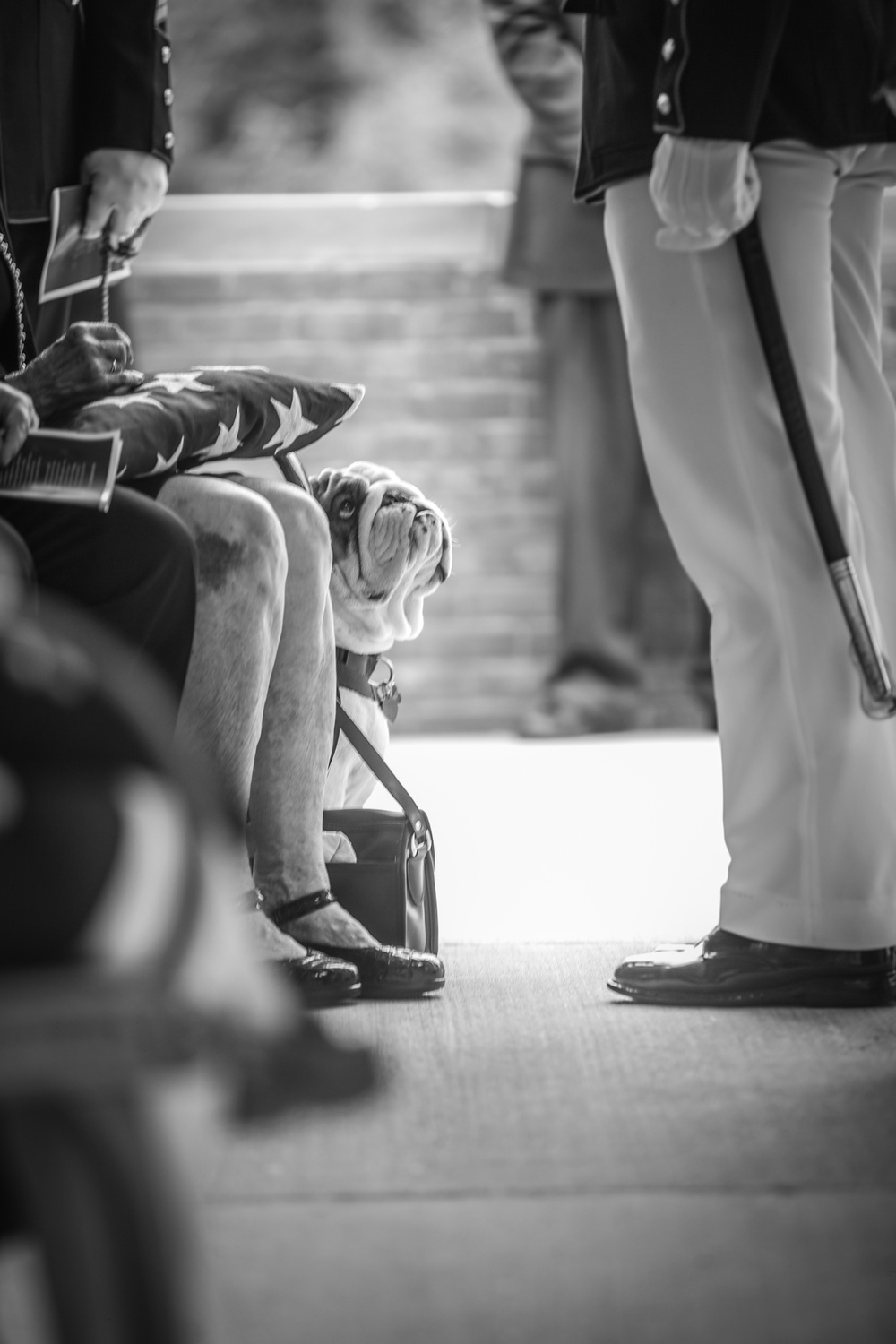 PFC. Hector Cafferata Funeral