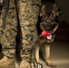 Patrol Explosive Detection Dogs