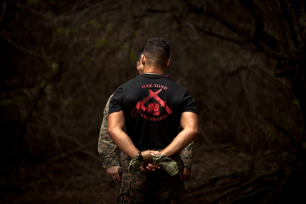To Become a Martial Arts Instructor in Hawaii