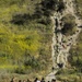 Battle of Sangin Memorial