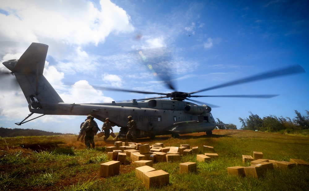 A large military helicopter, identifiable as a CH-53 Super Stallion, has landed on a grassy field while personnel in combat gear offload or move around the aircraft. Numerous cardboard boxes are scattered across the foreground grass, suggesting a supply delivery or humanitarian aid operation. The rotor blades are in motion, indicated by motion blur, and dust is being kicked up around the landing zone.
