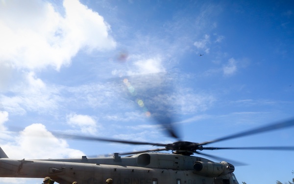 A large military helicopter, identifiable as a CH-53 Super Stallion, has landed on a grassy field while personnel in combat gear offload or move around the aircraft. Numerous cardboard boxes are scattered across the foreground grass, suggesting a supply delivery or humanitarian aid operation. The rotor blades are in motion, indicated by motion blur, and dust is being kicked up around the landing zone.