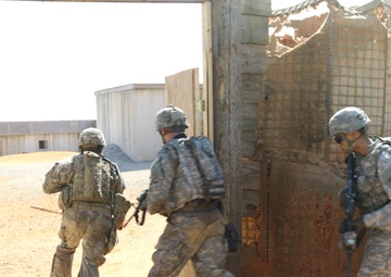 Paratroopers, Combined Arms Live-Fire Exercises